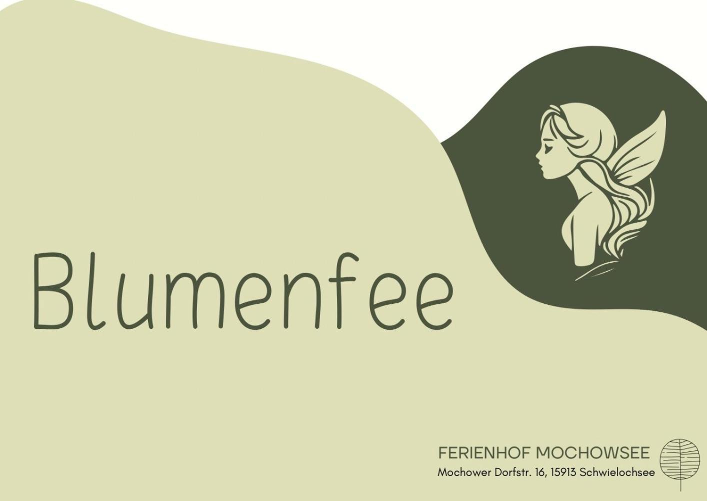 Ferienhof Mochowsee Schwielochsee Quarto foto