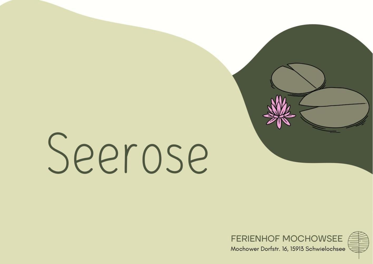 Ferienhof Mochowsee Schwielochsee Quarto foto